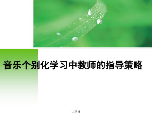 小班音乐区教师指导策略分析