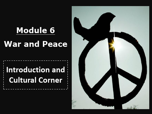 外研版选修六Module6WarandPeaceIntroduction课件