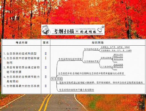 中考生物复习 生态系统课件 