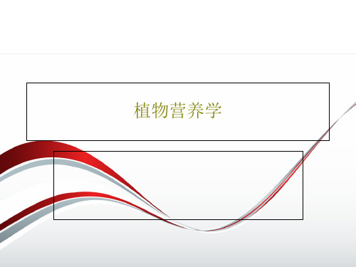 植物营养学PPT文档37页