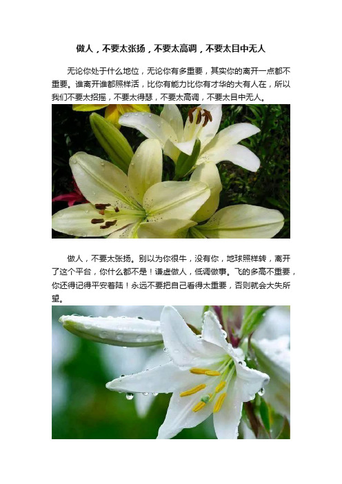 做人，不要太张扬，不要太高调，不要太目中无人