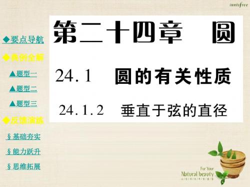 秋九年级数学上册 24.1.2 垂直于弦的直径课件 (新版)新人教版