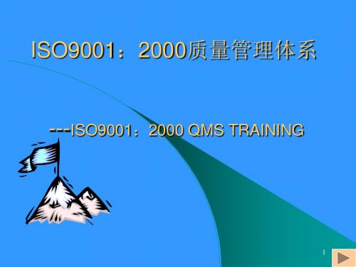 ISOQS9000-PPT文档资料