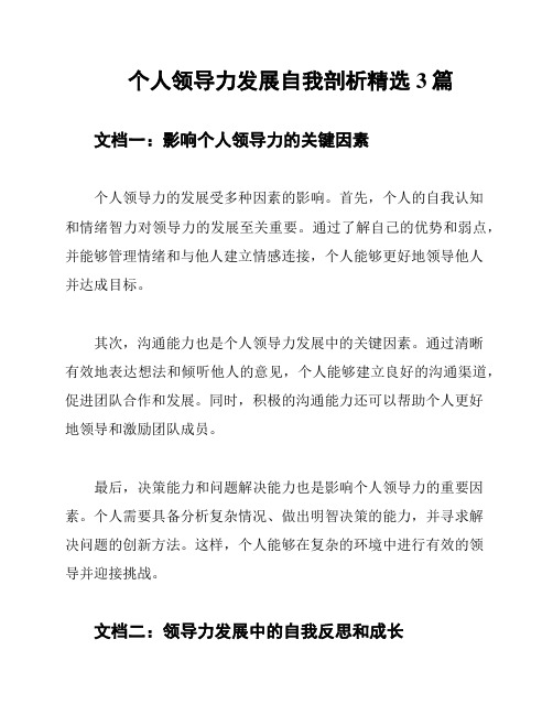 个人领导力发展自我剖析精选3篇