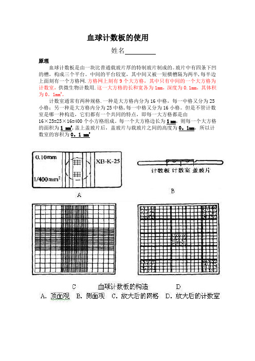 血球计数板的使用