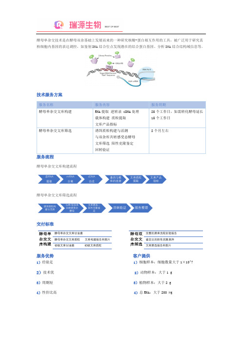 酵母单杂交