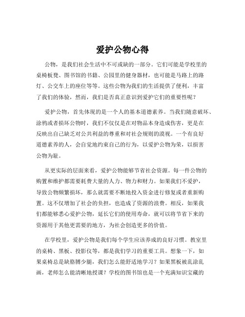 爱护公物心得