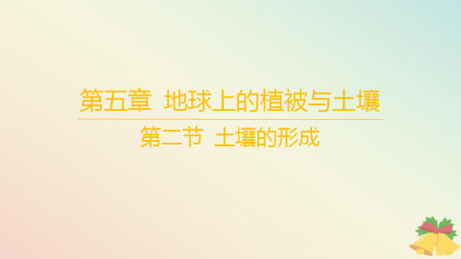 江苏专版2023_2024学年高中地理第五章地球上的植被与土壤第二节土壤的形成课件湘教版必修第一册