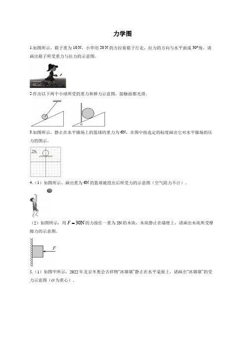 2023届中考物理作图专项练 力学图