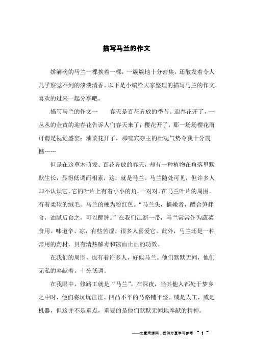描写马兰的作文