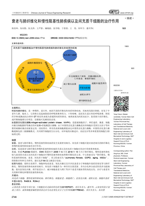 衰老与肺纤维化和慢性阻塞性肺疾病以及间充质干细胞的治疗作用