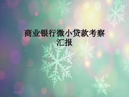 商业银行微小贷款考察汇报