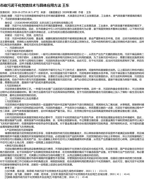 市政污泥干化焚烧技术与具体应用方法  王东