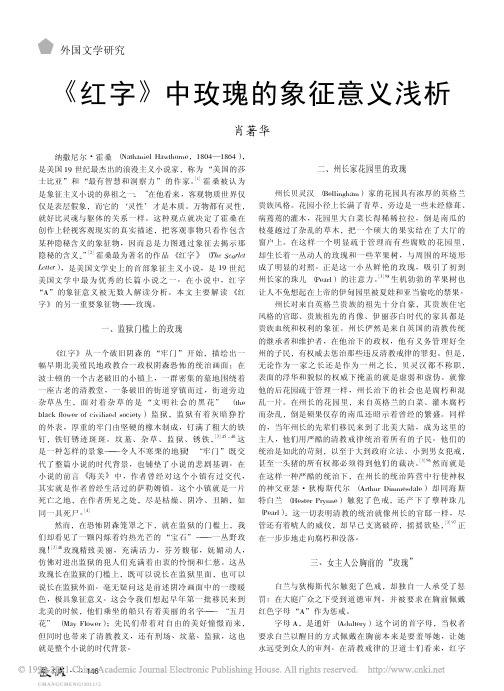 _红字_中玫瑰的象征意义浅析