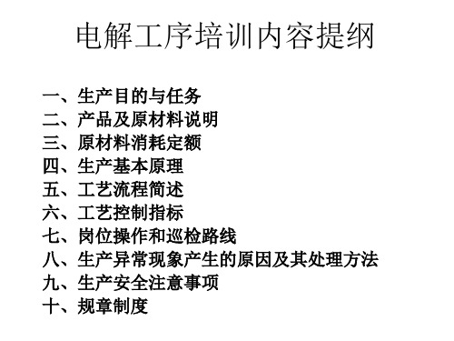 氯碱新员工培训资料之电解工序