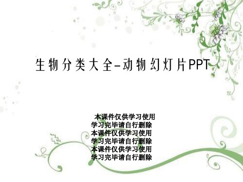 生物分类大全-动物幻灯片PPT