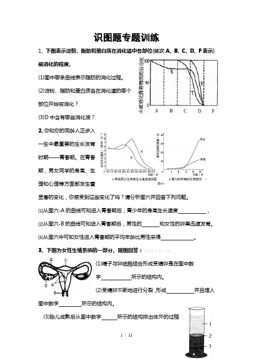 七年级下册生物识图题专题训练