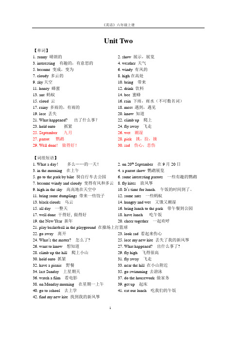 牛津6A Unit2单词、词组、句型、语法和单元检测卷