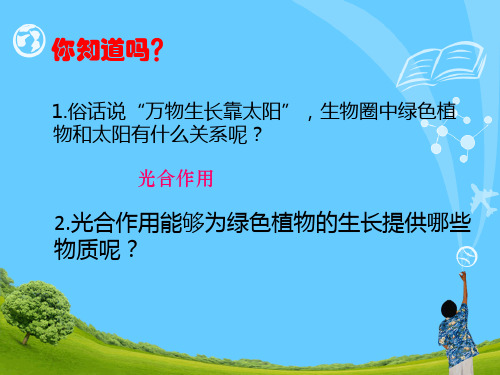 人教版初中生物七年级上册 3.4 绿色植物是生物圈中有机物的制造者 课件  (共33张PPT)