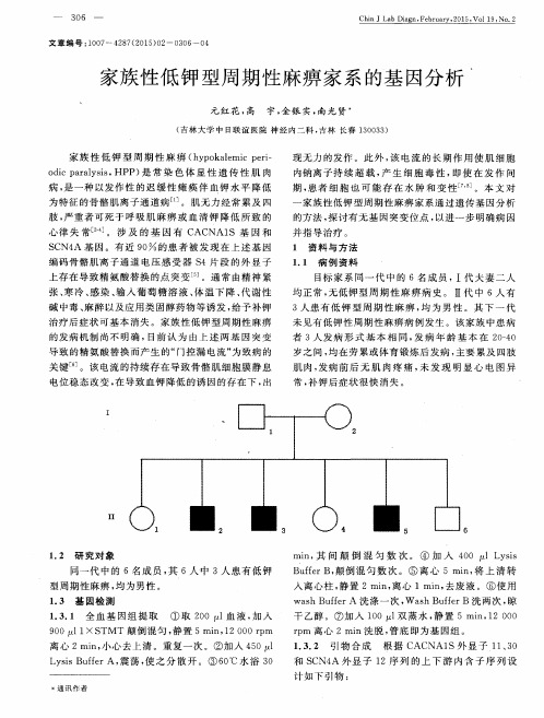 家族性低钾型周期性麻痹家系的基因分析