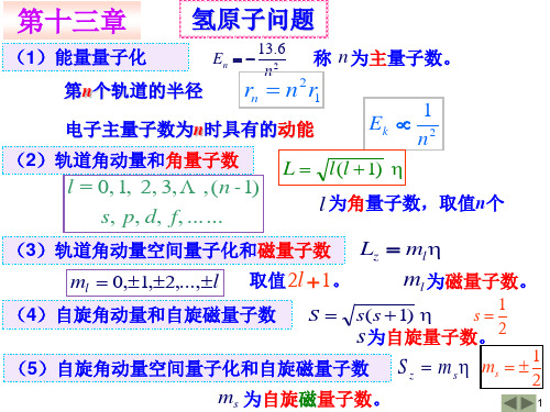 第十三章 早期量子论和量子力学基础