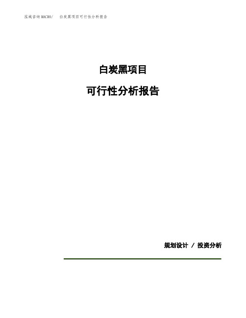 白炭黑项目可行性分析报告(模板参考范文)