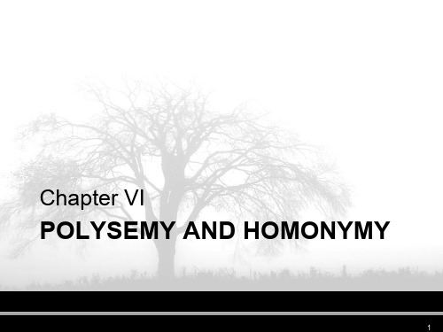 英语词汇学chapter6 Polysemy and Hyponymy