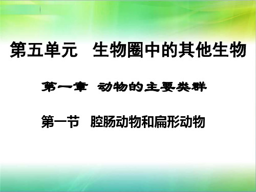 八年级生物上册ppt(22份打包) 人教版