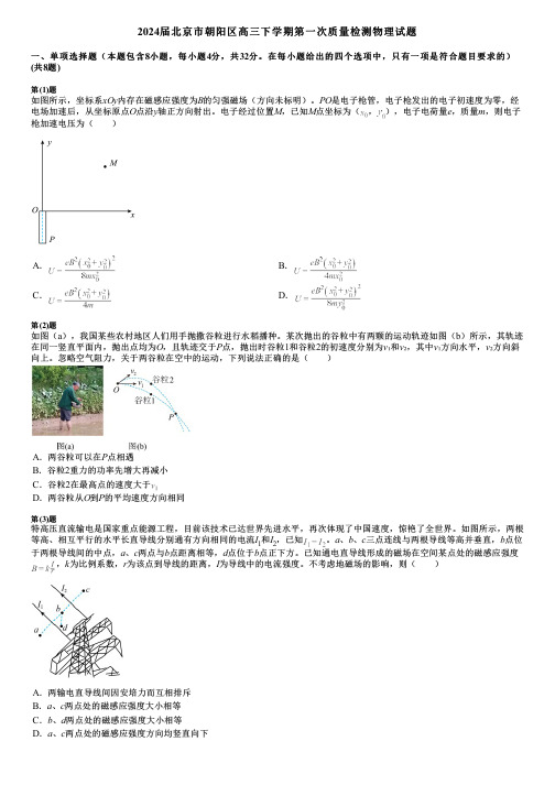 2024届北京市朝阳区高三下学期第一次质量检测物理试题