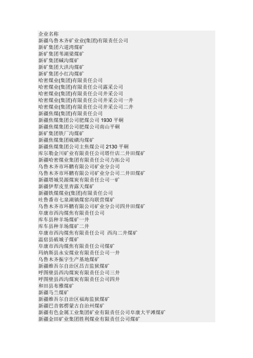 新疆煤炭公司明细