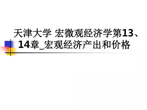 天津大学 宏微观经济学第13、14章_宏观经济产出和价格ppt课件