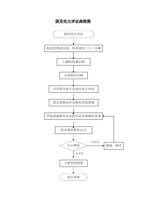 团员民主评议流程图