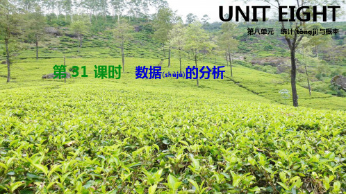 中考数学总复习 第八单元 统计与概率 第31课时 数据的分析课件