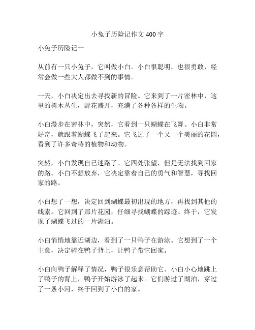 小兔子历险记作文400字