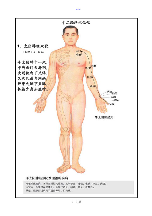 十二经络穴位歌(图文对照)