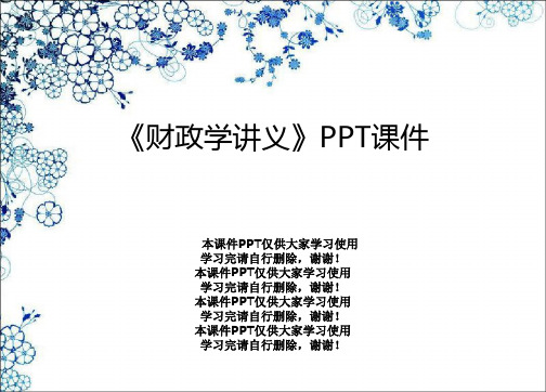 《财政学讲义》PPT课件