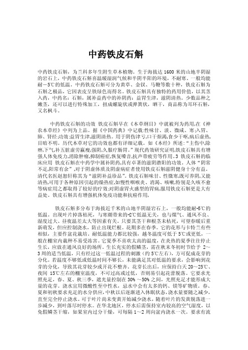 中药铁皮石斛