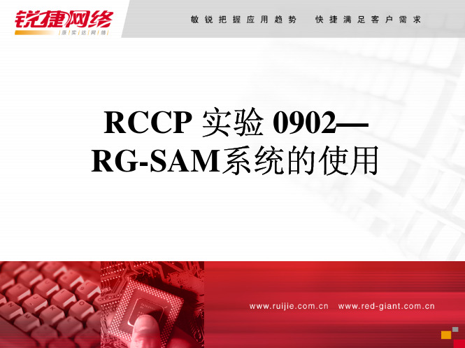 RCCP Lab 0902---SAM系统的使用