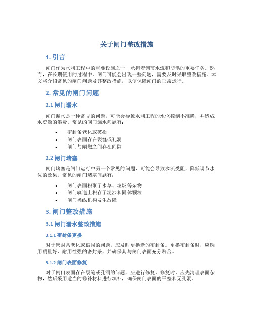 关于闸门整改措施