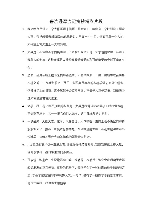 鲁滨逊漂流记摘抄精彩片段