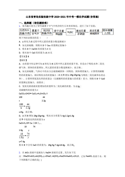 山东省青岛实验初级中学2020-2021年中考一模化学试题(含答案)