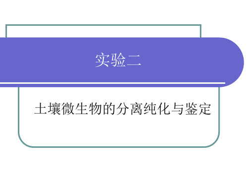 土壤微生物的分离纯化与鉴定