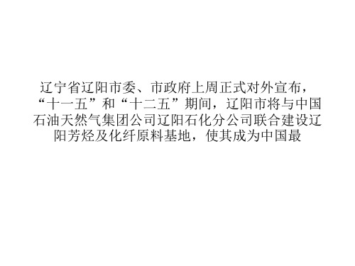 辽阳全力打造中国最大芳烃基地