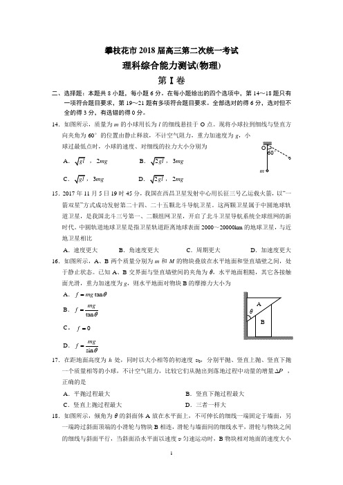 四川省攀枝花市2018届高三第二次统一考试理科综合能力测试(含答案)