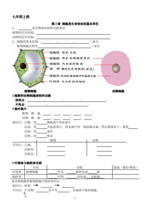 苏教版生物七年级上册第3章填空测试