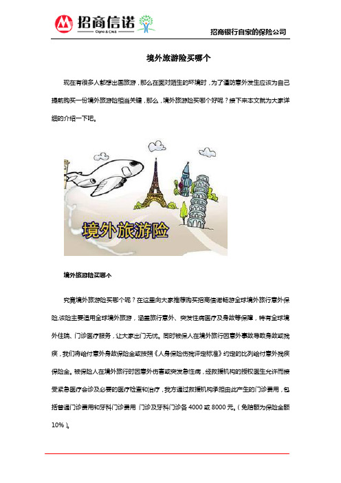境外旅游险买哪个