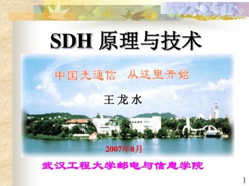 SDH