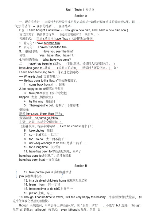 仁爱九年级全册知识总结