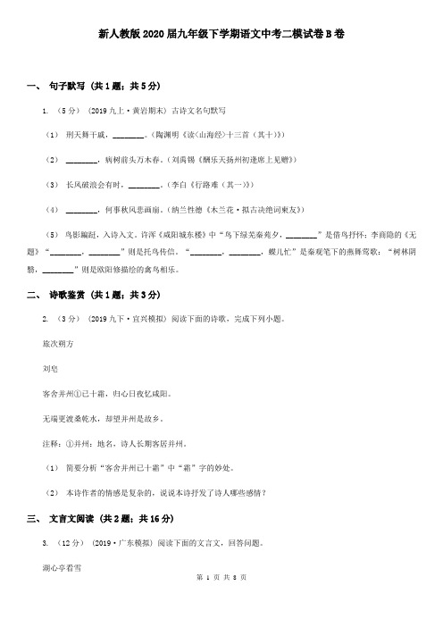 新人教版2020届九年级下学期语文中考二模试卷B卷