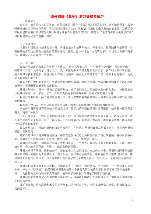 江苏省东台市九年级语文上册课外阅读《童年》复习提纲及练习苏教版